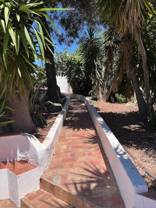 Beautiful Private Villa With Pool, Boliqueime, Loule 외부 사진