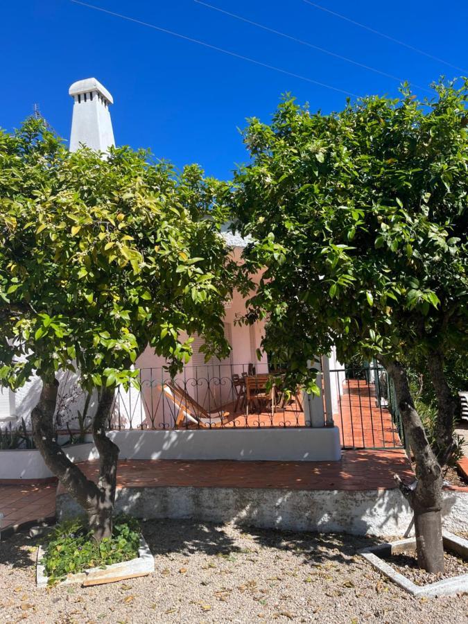 Beautiful Private Villa With Pool, Boliqueime, Loule 외부 사진